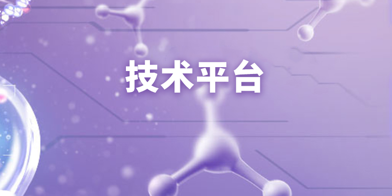 技术平台