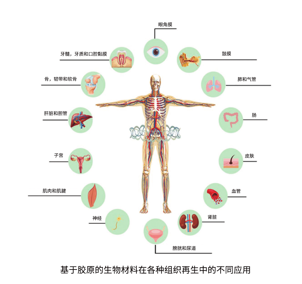 1654154838356894.png 捕获3332.png